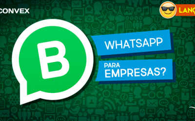 WhatsApp para Empresas: WhatsApp Business