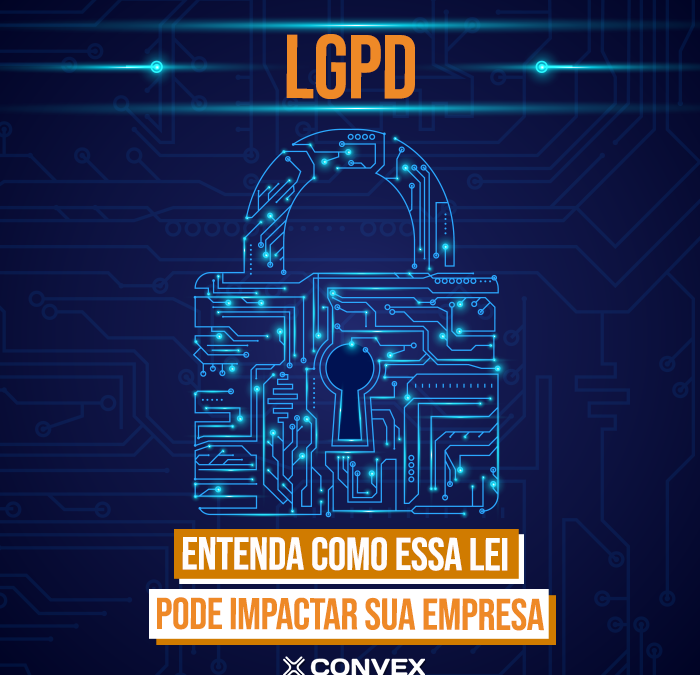 LGPD: Entenda como a Lei Geral de Proteção de Dados Pessoais pode impactar sua empresa