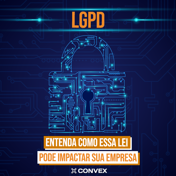 Lgpd Entenda Como A Lei Geral De Prote O De Dados Pessoais Pode Impactar Sua Empresa Convex